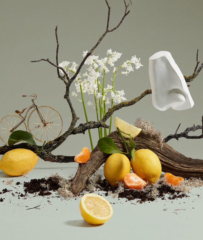 SCENT LIBRARY 10 x 2ml | Penhaligon's